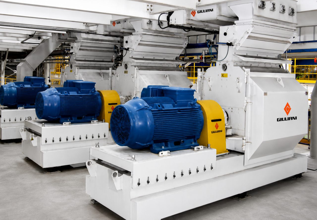 Equipamentos de processo fabricados pela Giuliani Hermanos, instalados em uma linha de processamento de soja